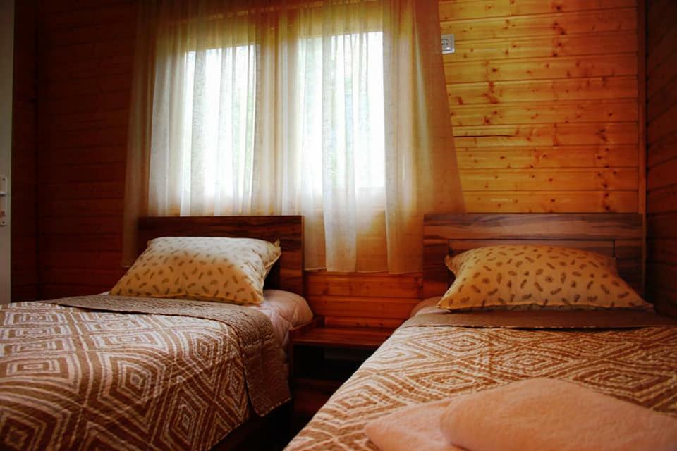 Hotel Ushba Hill Mestia Bagian luar foto